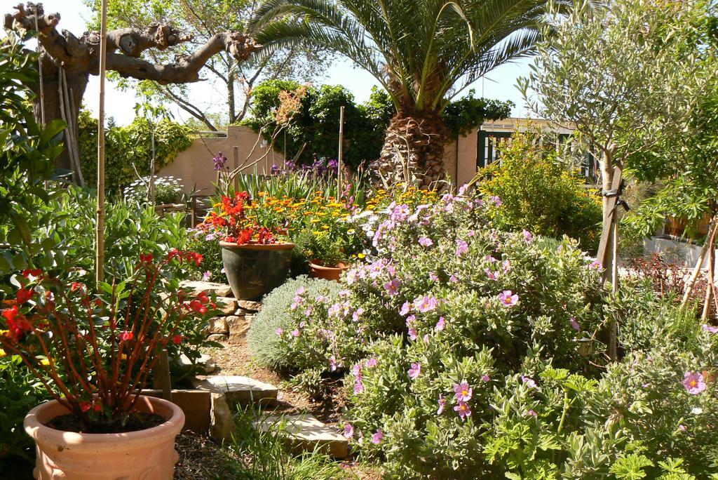 לינה וארוחת בוקר Sète L' Escale Tranquille מראה חיצוני תמונה